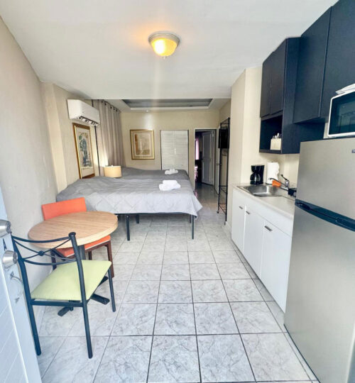 PINTA #274 1A – Studio