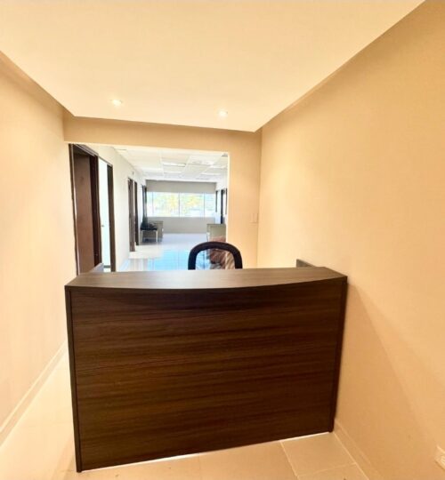 CONDADO TOWER – Piso 4 – Shared Office Space